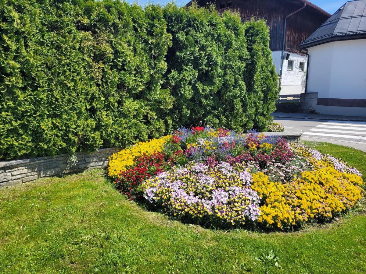 Ferienwohnung Schatz Breitenwang Extérieur photo