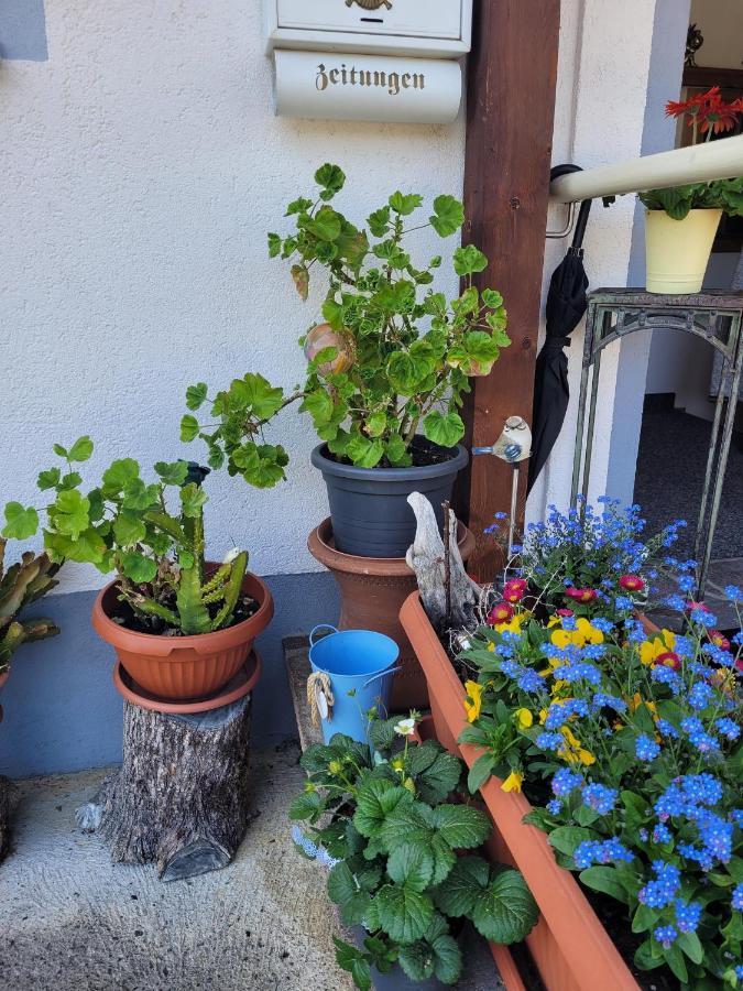 Ferienwohnung Schatz Breitenwang Extérieur photo